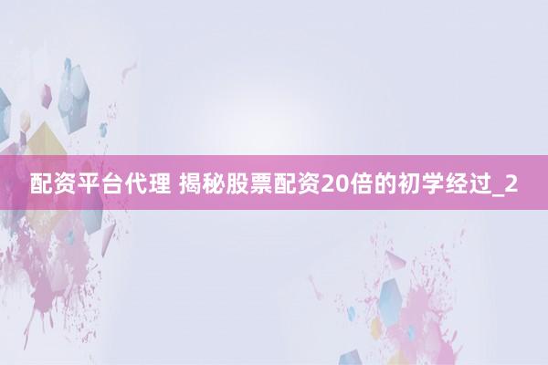 配资平台代理 揭秘股票配资20倍的初学经过_2